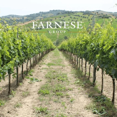 farnese-vini